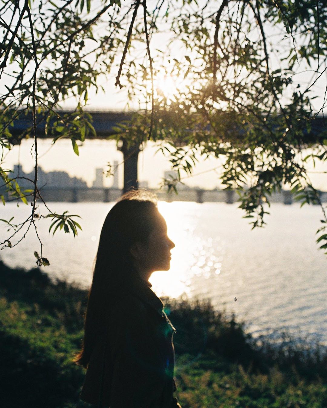 photo-763750