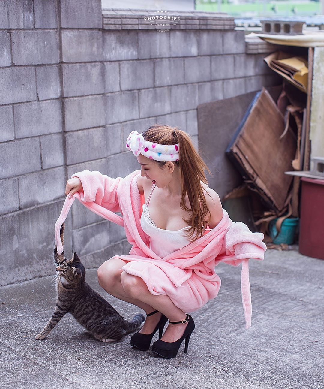 photo-768666
